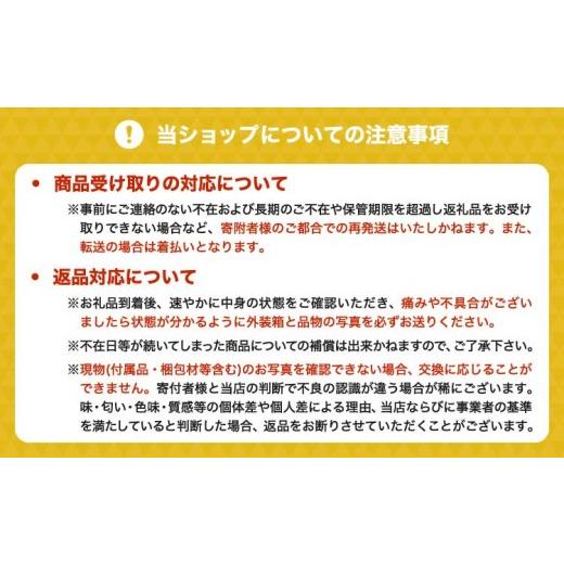 ふるさと納税 果汁飲料 みかん 熊本県 宇城市 熊本大見柑ピューレ(冷凍) 1kg入り 5個 不知火 不知火果汁 しらぬい デコポンと同品種 ピューレ アイス お菓子 …の画像