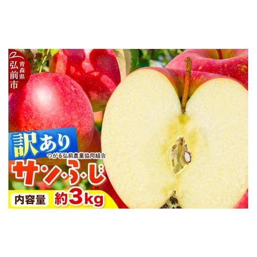ふるさと納税 りんご 青森県 弘前市 26年1月〜発送 りんご 家庭用 訳あり サンふじ 約3kg(9〜12玉程度)