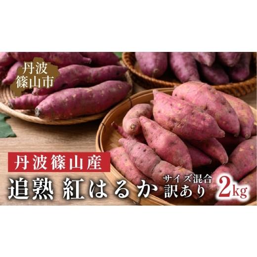 ふるさと納税 野菜類 サツマイモ 兵庫県 丹波篠山市 訳あり 杉尾農園 丹波篠山産 さつまいも 紅はるか 2kg さつまいも 追熟 紅はるか サイズ混合 2kg (M〜2…