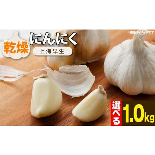 ふるさと納税 野菜類 薬味 徳島県 吉野川市 にんにく 乾燥 国産 1kg 乾燥にんにく 先行予約 常備食 便利 ニンニク スープ 料理 風味豊か 保存食 健康 健康食品…