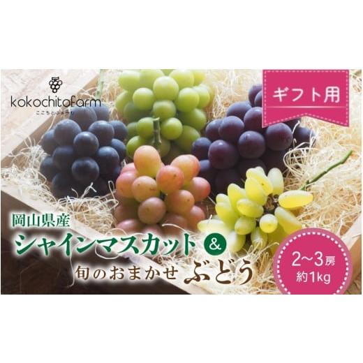 ふるさと納税 ぶどう マスカット 岡山県 真庭市 2026年先行予約 ここちとふぁーむ ギフト 岡山県産 シャインマスカット&旬のおまかせぶどう 2〜3房 約1kg ko…