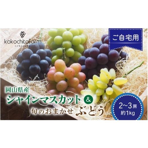 ふるさと納税 ぶどう マスカット 岡山県 真庭市 2026年先行予約 ここちとふぁーむ ご自宅用 岡山県産 シャインマスカット&旬のおまかせぶどう 2〜3房 約1kg …