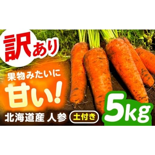 ふるさと納税 地域のお礼の品 北海道 足寄町 訳あり 北海道 にんじん 5kg (土付き)[足寄町] えとりファーム