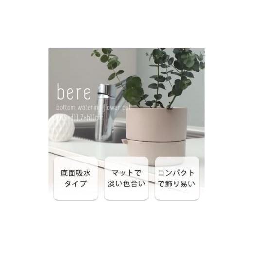 ふるさと納税 雑貨・日用品 インテリア 兵庫県 小野市 底面吸水植木鉢 bere べーレ ブラック ブラック