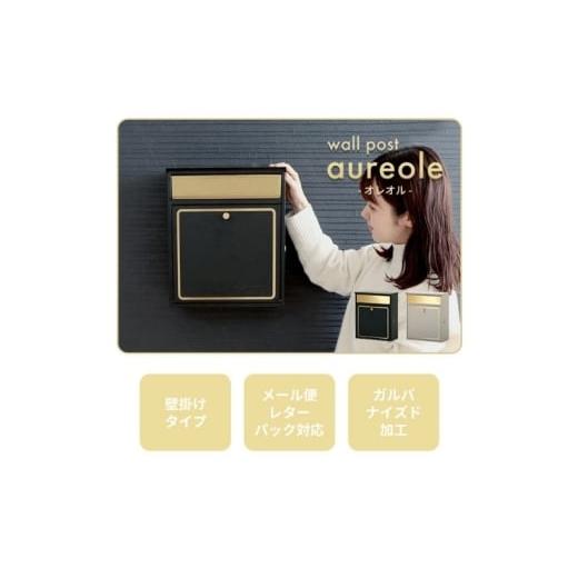 ふるさと納税 雑貨・日用品 インテリア 兵庫県 小野市 壁掛けポスト aureole(オレオル) ブラック ブラック