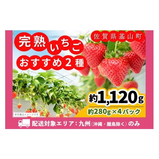 ふるさと納税 いちご 佐賀県 基山町 九州内配送 農場直送いちご いちご2品種食べ比べ(約280g×4P) ふるさと納税 基山町産 イチゴ 朝採れ 完熟果 KBCテレビ「…