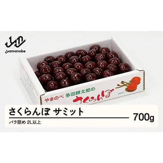 ふるさと納税 果物類 さくらんぼ 山形県 山辺町 [先行予約]2026年 山形県産 サミット バラ詰め 約700g やまのべ多田耕太郎のさくらんぼ サクランボ tn-smx2b…