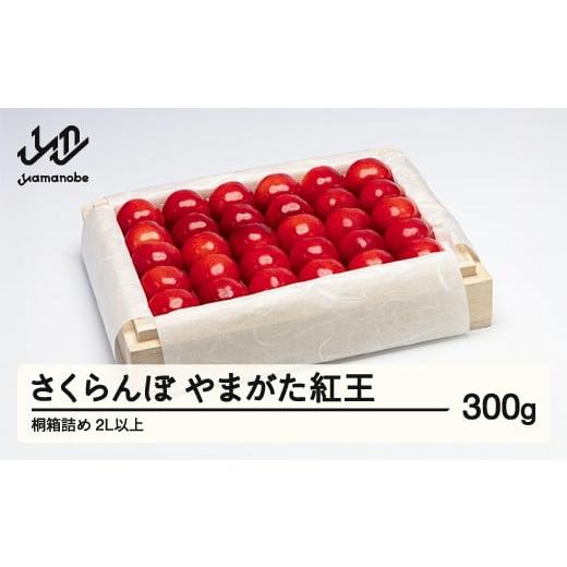 ふるさと納税 果物類 さくらんぼ 山形県 山辺町 [先行予約]2026年 山形県産 特選やまがた紅王 桐箱詰約300g やまのべ多田耕太郎のさくらんぼ tn-ybxxk300