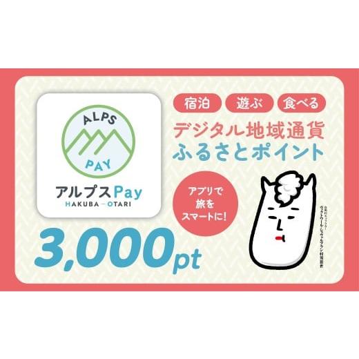 ふるさと納税 ポイント 長野県 白馬村 白馬村・小谷村 デジタル地域通貨「アルプスPay」 ふるさとポイント3,000pt(3,000円分) アルプスペイ 地域限定通貨 電…