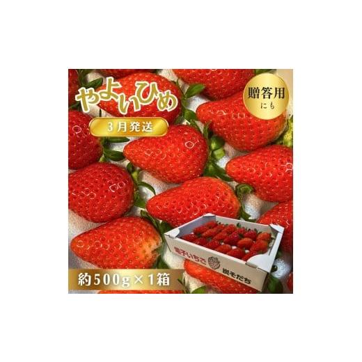 ふるさと納税 いちご 千葉県 酒々井町 3月発送 やよいひめ 贈答用 いちご 電子いちご イチゴ 鈴木いちご園 酒々井町 炭そだち やよい姫 約 500g × 1箱 ギフ…
