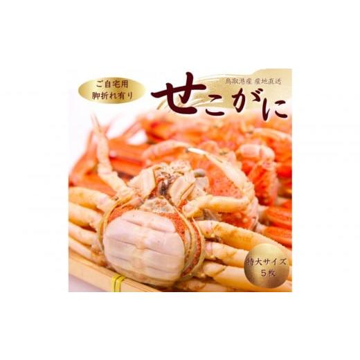 ふるさと納税 カニ ずわいガニ 鳥取県 鳥取市 訳あり セコガニ 特大サイズ 5枚 (茹で)