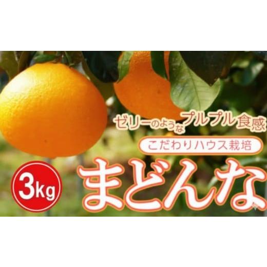 ふるさと納税 みかん・柑橘類 愛媛県 愛南町 ハウス栽培 正品 まどんな 3kg みかん 13000円 愛果28号 紅まどんな 同品種 あいか アイカ 高級 人気 ブランド 柑…