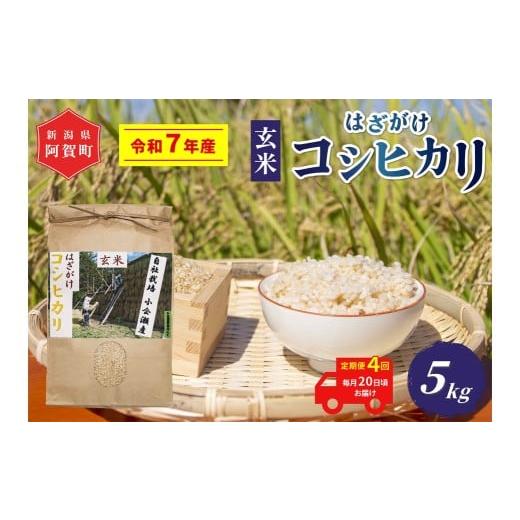 ふるさと納税 玄米 新潟県 阿賀町 [令和7年産米] 定期便 4回 越後奥阿賀産はざがけ(天日干し)コシヒカリ 玄米5kg(1袋)