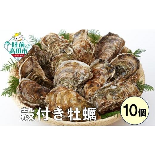 ふるさと納税 旬の鮮魚等 岩手県 陸前高田市 決済後順次発送 数量限定/感謝プラン かき小屋広田湾の殻付き牡蠣8個+2個 計10個 生食用 生食可 牡蠣 かき 殻付…