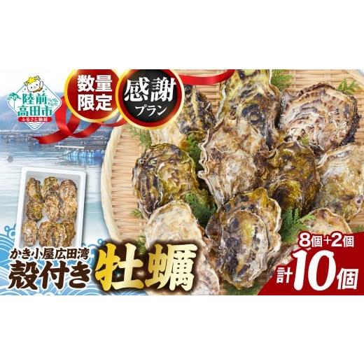 ふるさと納税 旬の鮮魚等 岩手県 陸前高田市 2026年2月後半発送 数量限定/感謝プラン かき小屋広田湾の殻付き牡蠣8個+2個 計10個 生食用 生食可 牡蠣 かき …