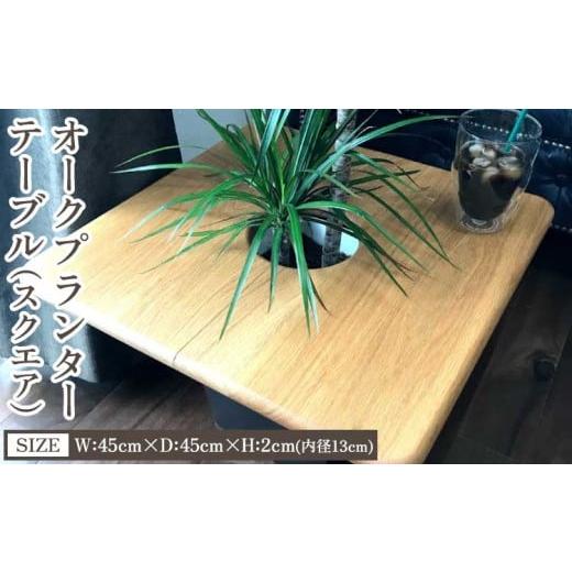 ふるさと納税 家具 テーブル 熊本県 宇城市 オークプランターテーブル(スクエア) オーク 幅45cm×奥行き45cm×高さ2cm(内径13cm) 3kg 木製 ウッド インテリ…