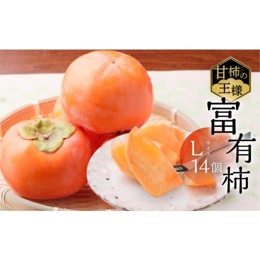 ふるさと納税 果物類 柿 岐阜県 本巣市 先行予約/令和8年産/2026年11月下旬〜発送 [柿の王様]加藤果樹園の富有柿 Lサイズ 14個入り 令和8年産