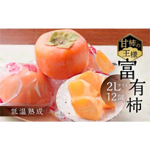 ふるさと納税 果物類 柿 岐阜県 本巣市 先行予約/令和8年産/2027年1月上旬〜発送予定 [柿の王様]加藤果樹園のフレッシュパック富有柿2Lサイズ12個入り mt…