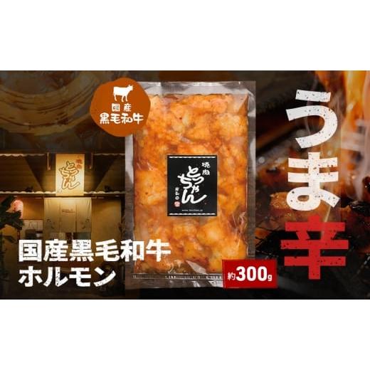 ふるさと納税 牛肉 ホルモン 大阪府 岸和田市 うま辛 国産黒毛和牛ホルモン約300g | 牛肉 和牛 焼肉 BBQ バーベキュー アウトドア 料理 国産  