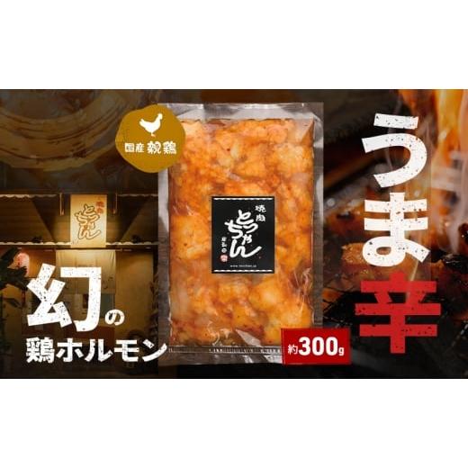 ふるさと納税 鶏肉 大阪府 岸和田市 うま辛幻の鶏ホルモン約300g | 鶏肉 鶏 焼肉 BBQ バーベキュー アウトドア 料理 国産  