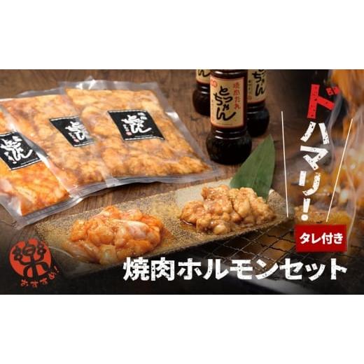 ふるさと納税 牛肉 ホルモン 大阪府 岸和田市 ドハマリ 焼肉ホルモンセット(タレ付き)| 肉 鶏肉 牛肉 たれ 焼肉 BBQ バーベキュー アウトドア  