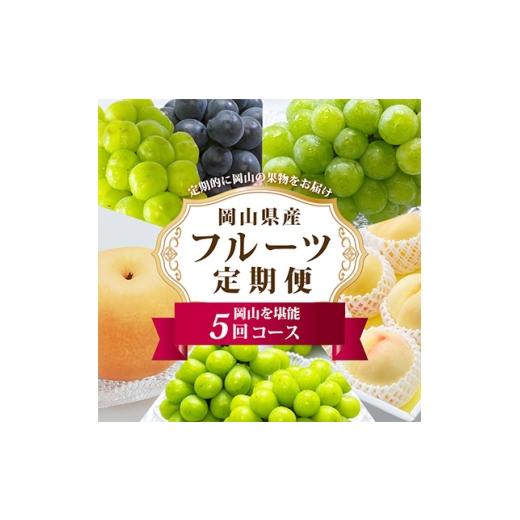 ふるさと納税 もも 岡山県 津山市  発送月固定定期便 B 岡山県産 白桃・シャインマスカット(晴王)・あたご梨ほか　全5回 4014367_1
