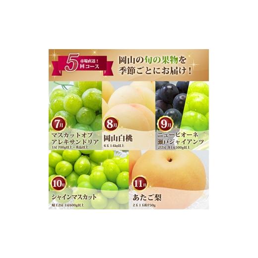 ふるさと納税 もも 岡山県 津山市  発送月固定定期便 B 岡山県産 白桃・シャインマスカット(晴王)・あたご梨ほか　全5回 4014367_2