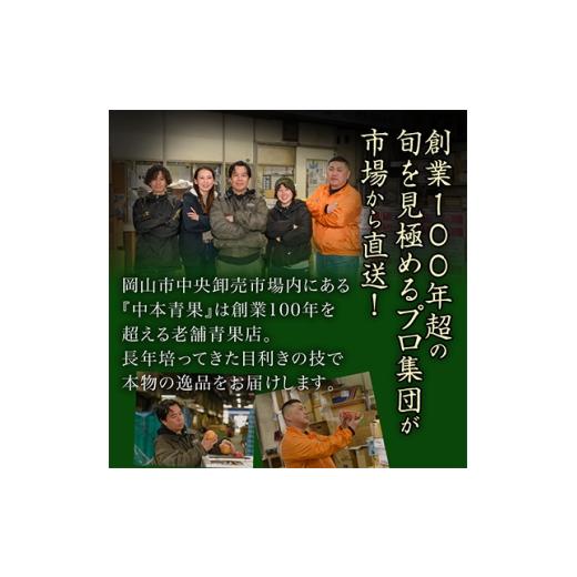 ふるさと納税 もも 岡山県 津山市  発送月固定定期便 B 岡山県産 白桃・シャインマスカット(晴王)・あたご梨ほか　全5回 4014367_4