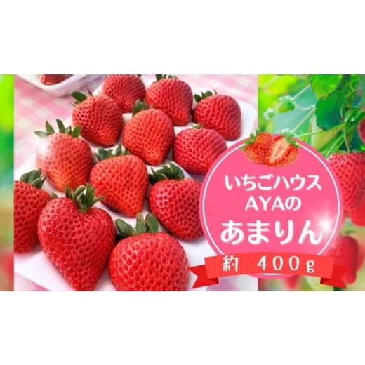 ふるさと納税 いちご 埼玉県 秩父市 いちごハウスAYAのあまりん 約400g / 果物 フルーツ 苺 イチゴ プレミアム 採れたて 新鮮 濃厚 甘み 爽やか 酸味 低農薬…
