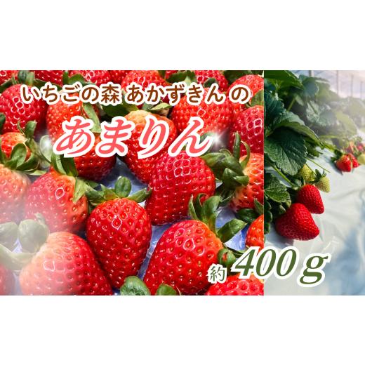 ふるさと納税 いちご 埼玉県 秩父市 いちごの森あかずきんのあまりん 約400g / 果物 フルーツ 苺 イチゴ 甘みが際立ち 酸味の少ない 鮮やか 濃い赤色 可愛い…