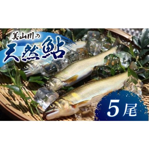 ふるさと納税 川魚 あゆ 京都府 南丹市   冷凍 美山川の天然鮎 5匹 | 魚 さかな 天然 鮎 川魚 料理 京都 南丹市