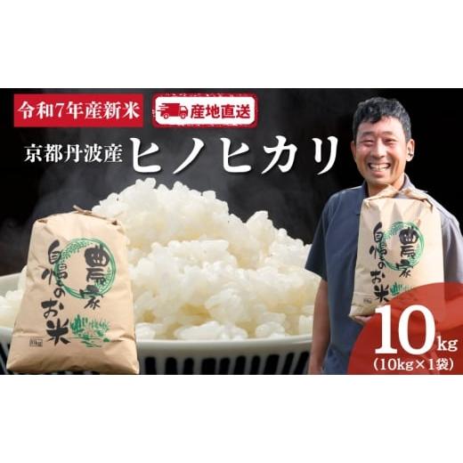 ふるさと納税 米 ヒノヒカリ 京都府 南丹市   京都 丹波産 ヒノヒカリ 10kg | お米 米 コメ 精米 白米 ご飯 ごはん 京都 南丹市