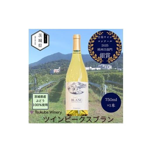 ふるさと納税 ワイン 白ワイン 茨城県 - 離島・沖縄配送不可 つくばワイナリー ツインピークスブラン 750ml 1691022