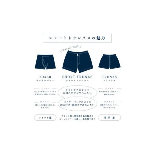 ふるさと納税 服 男 兵庫県 豊岡市 メンズ 下着 ショート トランクス Mサイズ 10枚 ／ 無地 ／ 10：Ivory（全て同カラー） ／ ZIVANE ジバン ／ 締め付け感の…の画像