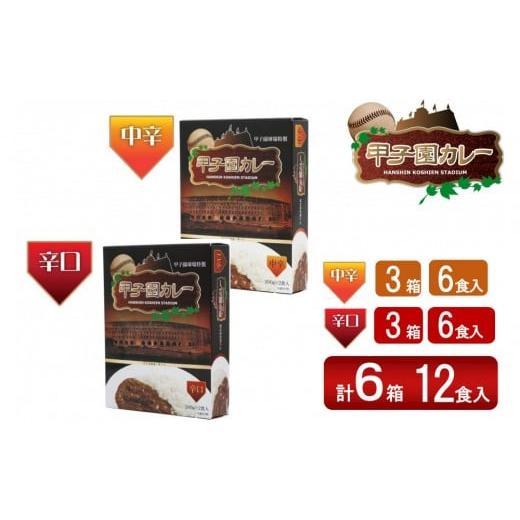 ふるさと納税 加工品等 レトルト 兵庫県 西宮市 甲子園カレー 中辛・辛口 ×3箱6食入 計6箱セット12食入