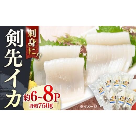 ふるさと納税 イカ 長崎県 対馬市 剣先イカ 750g(約6〜8本) セット 丸徳水産 [対馬市]鮮度抜群 新鮮 ケンサキイカ シロイカ 下処理済 刺身 BBQ 惣菜 天ぷら …