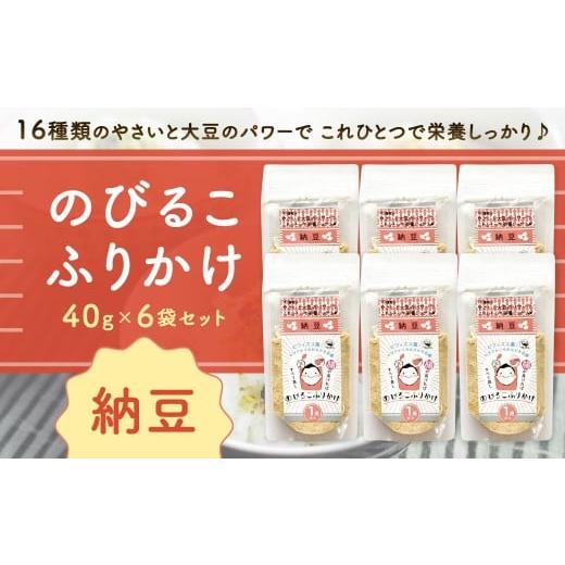 ふるさと納税 乾物 海藻 福岡県 北九州市 のびるこふりかけ 納豆 40g×6袋 計240g ふりかけ こども用ふりかけ 納豆ふりかけ こども用 健康 栄養 常温 福岡県 …