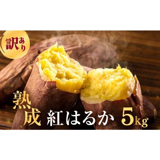 ふるさと納税 野菜類 サツマイモ 愛知県 田原市 先行予約 訳あり さつまいも 5kg サイズ無選別 紅はるか 田原市 渥美半島 通常配送 7000円
