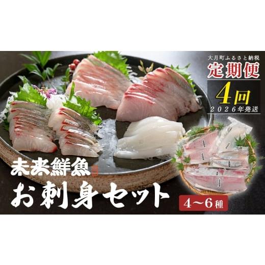 ふるさと納税 旬の鮮魚等 高知県 大月町 定期便4回 旬のお刺身用柵セット 4〜6種 刺身 高知県産|盛り合わせ 食べ比べ 鮮度抜群 産地直送 海の幸 海鮮 魚介 …