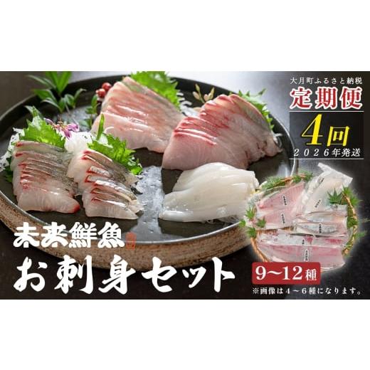 ふるさと納税 旬の鮮魚等 高知県 大月町 定期便4回 旬のお刺身用柵セット 9〜12種 刺身 高知県産|盛り合わせ 食べ比べ 鮮度抜群 産地直送 海の幸 海鮮 魚介 …