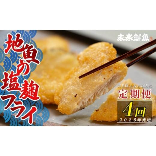 ふるさと納税 魚貝類 高知県 大月町 定期便4回 地魚の塩麹フライ|高知県産 白身フライ 揚げ物 麹 米麹 おかず 簡単調理 魚介 海鮮 弁当 惣菜 おつまみ 白身…