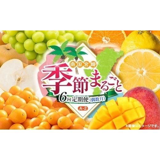 ふるさと納税 果物の詰合せ 宮崎県 -  偶数月 6回定期便 旬 人気 フルーツ 南国宮崎産 太陽のタマゴ きんかん シャインマスカット 日向夏 梨 みかん 柑橘 マン…_1