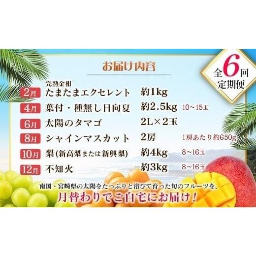 ふるさと納税 果物の詰合せ 宮崎県 -  偶数月 6回定期便 旬 人気 フルーツ 南国宮崎産 太陽のタマゴ きんかん シャインマスカット 日向夏 梨 みかん 柑橘 マン…_2