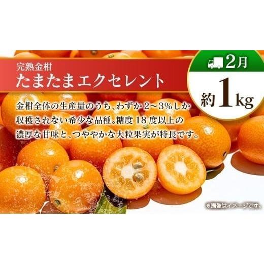 ふるさと納税 果物の詰合せ 宮崎県 -  偶数月 6回定期便 旬 人気 フルーツ 南国宮崎産 太陽のタマゴ きんかん シャインマスカット 日向夏 梨 みかん 柑橘 マン…_3