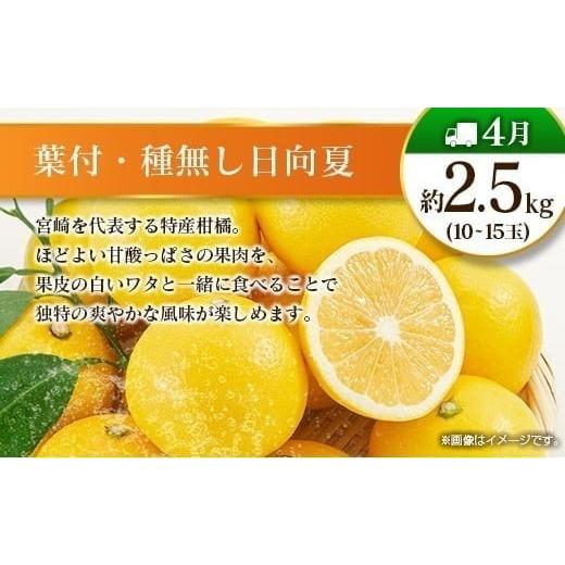 ふるさと納税 果物の詰合せ 宮崎県 -  偶数月 6回定期便 旬 人気 フルーツ 南国宮崎産 太陽のタマゴ きんかん シャインマスカット 日向夏 梨 みかん 柑橘 マン…_4