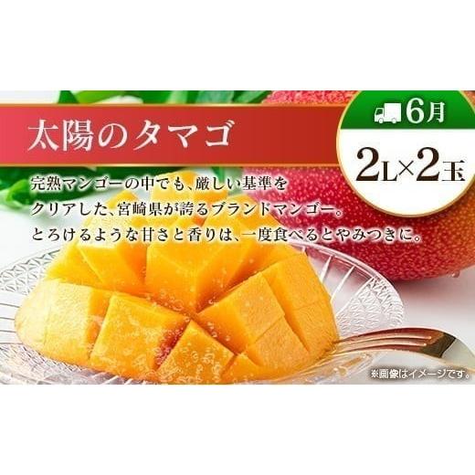ふるさと納税 果物の詰合せ 宮崎県 -  偶数月 6回定期便 旬 人気 フルーツ 南国宮崎産 太陽のタマゴ きんかん シャインマスカット 日向夏 梨 みかん 柑橘 マン…_5