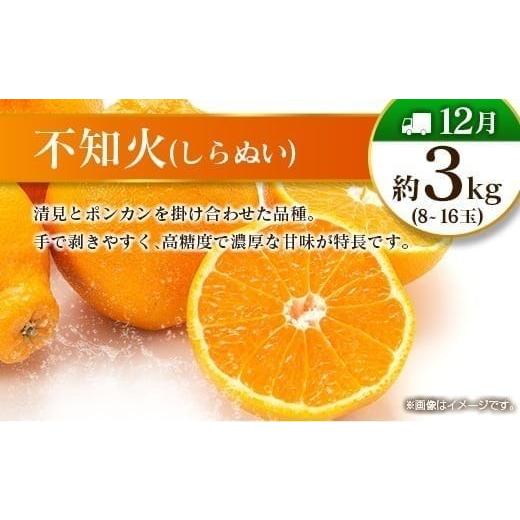 ふるさと納税 果物の詰合せ 宮崎県 -  偶数月 6回定期便 旬 人気 フルーツ 南国宮崎産 太陽のタマゴ きんかん シャインマスカット 日向夏 梨 みかん 柑橘 マン…_8