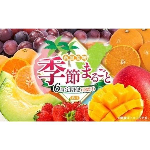 ふるさと納税 果物の詰合せ 宮崎県 -  奇数月 6回定期便 旬 人気 フルーツ 南国宮崎産 マンゴー ピオーネ いちご みかん メロン 柑橘 ぶどう 果物 詰め合わせ …_1