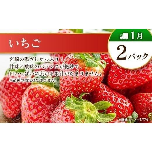 ふるさと納税 果物の詰合せ 宮崎県 -  奇数月 6回定期便 旬 人気 フルーツ 南国宮崎産 マンゴー ピオーネ いちご みかん メロン 柑橘 ぶどう 果物 詰め合わせ …_3