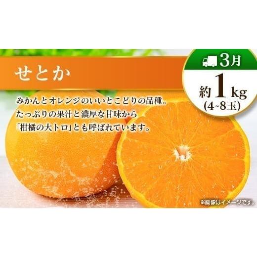 ふるさと納税 果物の詰合せ 宮崎県 -  奇数月 6回定期便 旬 人気 フルーツ 南国宮崎産 マンゴー ピオーネ いちご みかん メロン 柑橘 ぶどう 果物 詰め合わせ …_4
